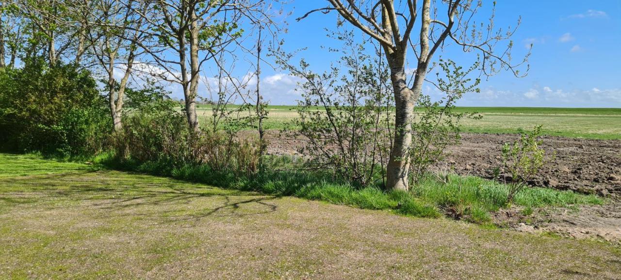 Wohnmobilstellplatz Nordseeliebe Direkt Am Deich - Dagebüll